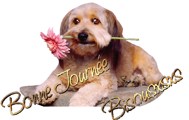 Image h�berg�e par Casimages.com : votre h�bergeur d images simple et gratuit