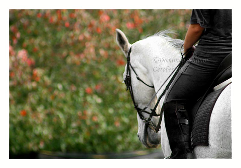 Image h&eacute;berg&eacute;e par Casimages.com : votre h&eacute;bergeur d images simple et gratuit