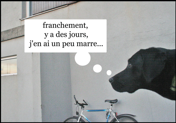Image h�berg�e par Casimages.com : votre h�bergeur d images simple et gratuit