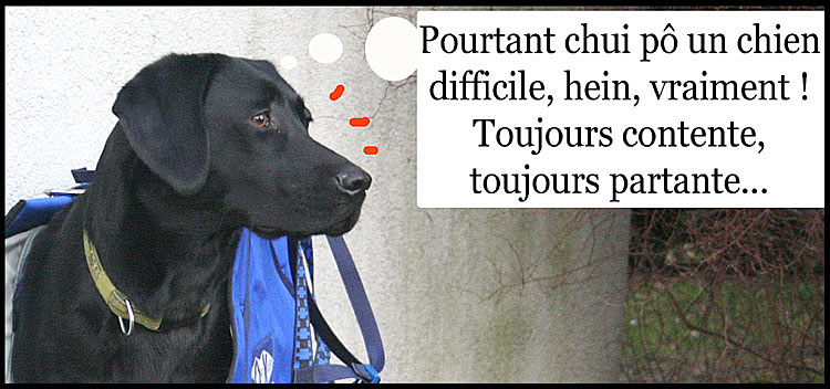 Image h�berg�e par Casimages.com : votre h�bergeur d images simple et gratuit
