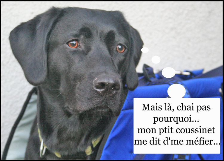 Image h�berg�e par Casimages.com : votre h�bergeur d images simple et gratuit