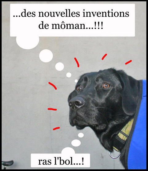 Image h�berg�e par Casimages.com : votre h�bergeur d images simple et gratuit