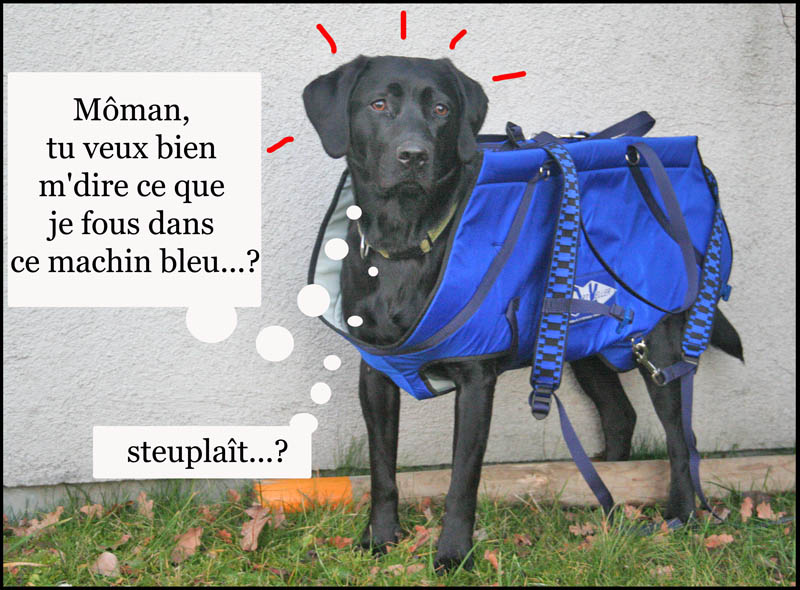 Image h�berg�e par Casimages.com : votre h�bergeur d images simple et gratuit