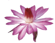 Image hébergée par Casimages.com : votre hébergeur d images simple et gratuit