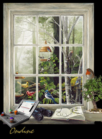 Image hébergée par Casimages.com : votre hébergeur d images simple et gratuit