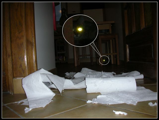 Image hébergée par Casimages.com : votre hébergeur d images simple et gratuit