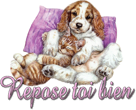 Image hébergée par Casimages.com : votre hébergeur d images simple et gratuit