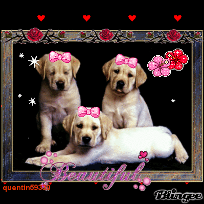 Image hébergée par Casimages.com : votre hébergeur d images simple et gratuit