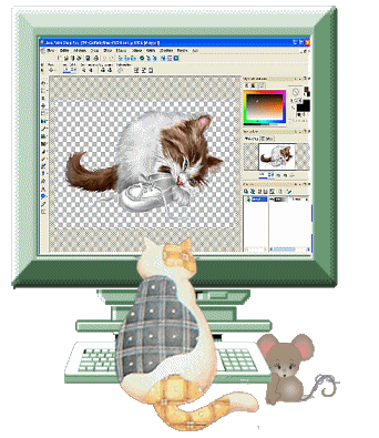 Image h�berg�e par Casimages.com : votre h�bergeur d images simple et gratuit