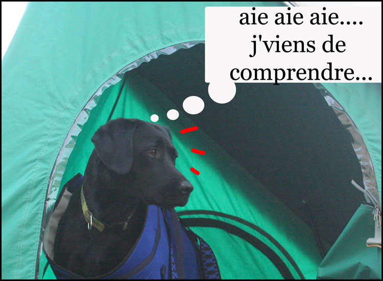 Image h�berg�e par Casimages.com : votre h�bergeur d images simple et gratuit