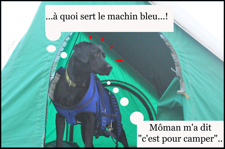 Image h�berg�e par Casimages.com : votre h�bergeur d images simple et gratuit