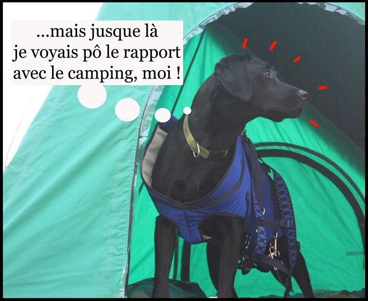 Image h�berg�e par Casimages.com : votre h�bergeur d images simple et gratuit