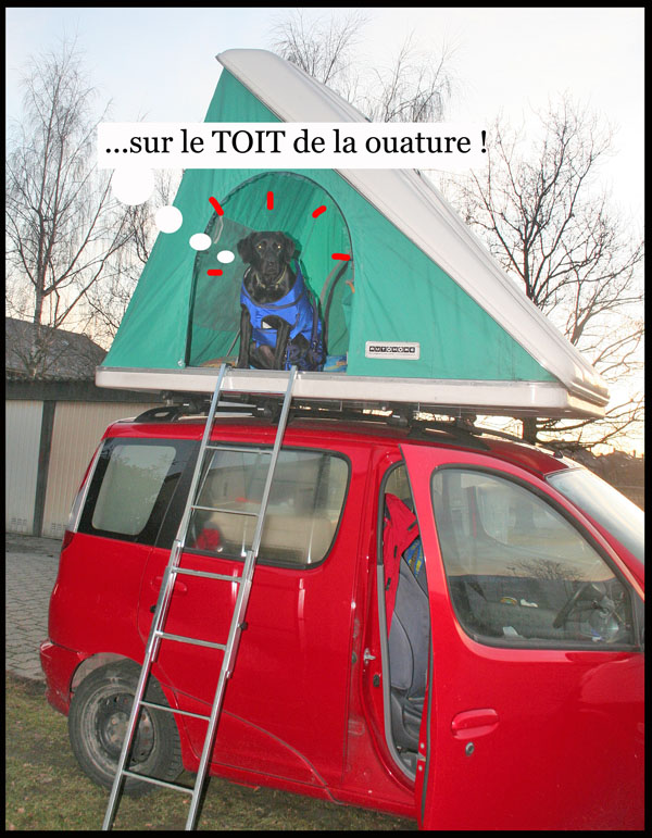 Image h�berg�e par Casimages.com : votre h�bergeur d images simple et gratuit