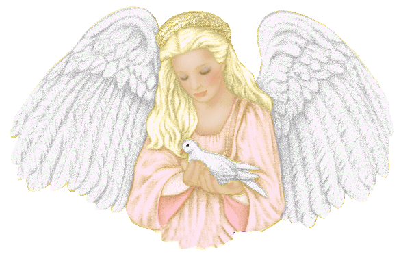 Image
hébergée par Casimages.com : votre hébergeur d images simple et gratuit