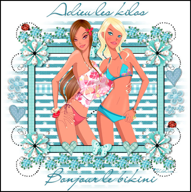 Adieu les kilos, Bonjour le bikini
