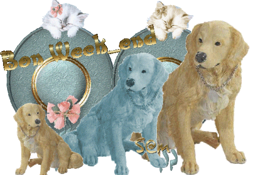 Image h�berg�e par Casimages.com : votre h�bergeur d images simple et gratuit