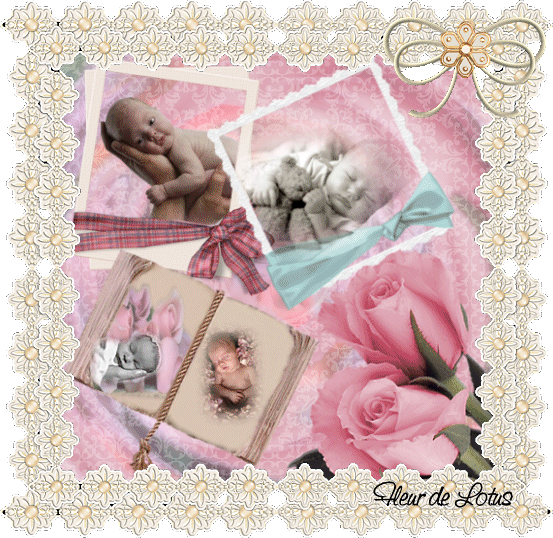 Image hébergée par Casimages.com : votre hébergeur d images simple et gratuit