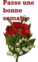 Image hébergée par Casimages.com : votre hébergeur d images simple et gratuit