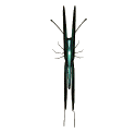 Image hébergée par Casimages.com : votre hébergeur d images simple et gratuit