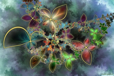 Butterflies Galerie Segami