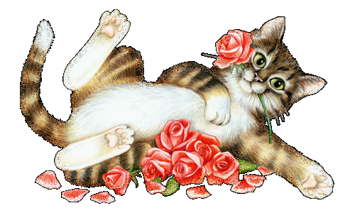 Image hébergée par Casimages.com : votre hébergeur d images simple et gratuit