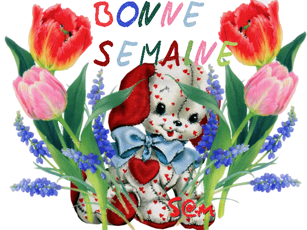 Image h�berg�e par Casimages.com : votre h�bergeur d images simple et gratuit