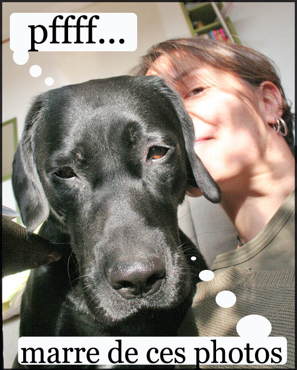 Image h�berg�e par Casimages.com : votre h�bergeur d images simple et gratuit