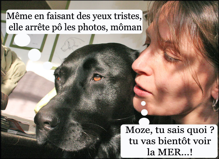 Image h�berg�e par Casimages.com : votre h�bergeur d images simple et gratuit