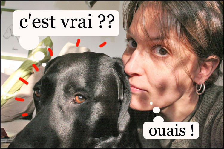 Image h�berg�e par Casimages.com : votre h�bergeur d images simple et gratuit