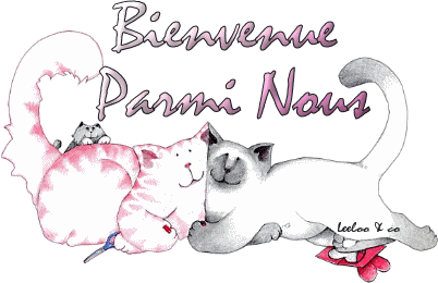 Image h�berg�e par Casimages.com : votre h�bergeur d images simple et gratuit