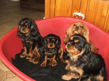 Image h�berg�e par Casimages.com : votre h�bergeur d images simple et gratuit