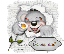 Image hébergée par Casimages.com : votre hébergeur d images simple et gratuit