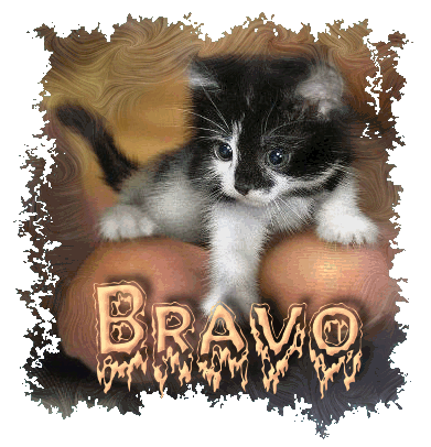 Image hébergée par Casimages.com : votre hébergeur d images simple et gratuit