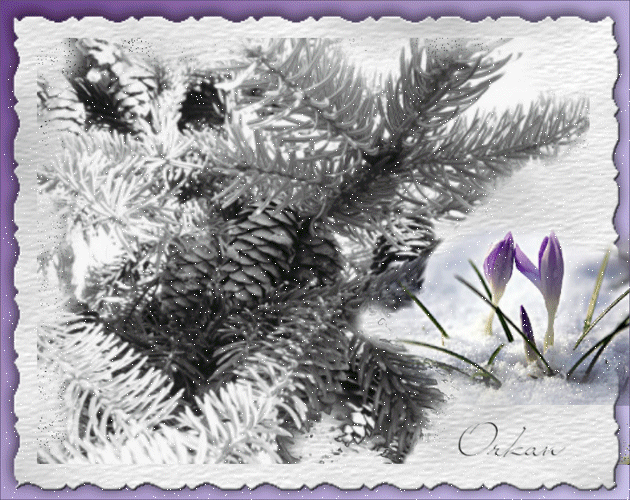 Image hébergée par Casimages.com : votre hébergeur d images simple et gratuit