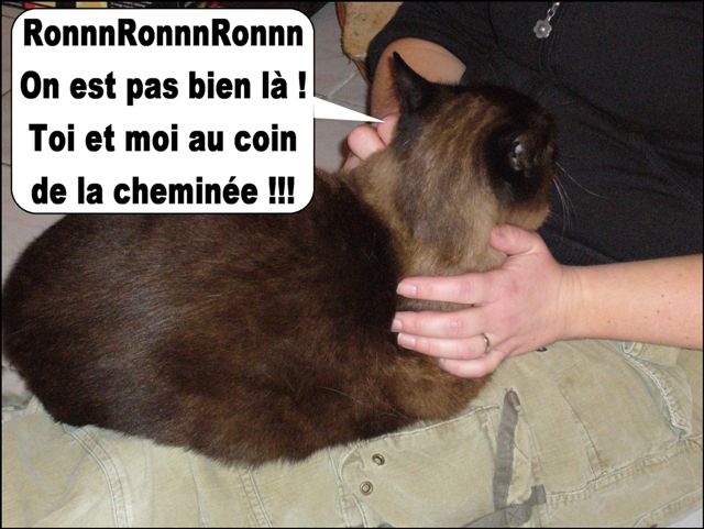 Image hébergée par Casimages.com : votre hébergeur d images simple et gratuit