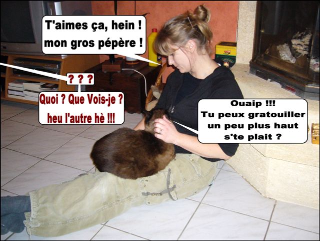Image hébergée par Casimages.com : votre hébergeur d images simple et gratuit