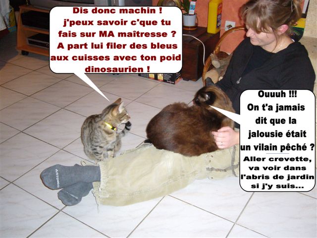 Image hébergée par Casimages.com : votre hébergeur d images simple et gratuit