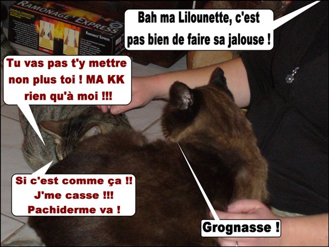 Image hébergée par Casimages.com : votre hébergeur d images simple et gratuit