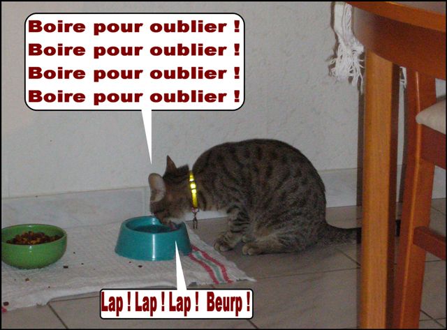 Image hébergée par Casimages.com : votre hébergeur d images simple et gratuit
