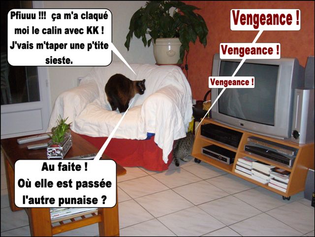 Image hébergée par Casimages.com : votre hébergeur d images simple et gratuit