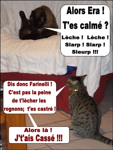 Image hébergée par Casimages.com : votre hébergeur d images simple et gratuit