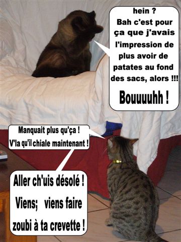 Image hébergée par Casimages.com : votre hébergeur d images simple et gratuit