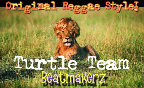 Turtle Team - Beatmakerz - all kind of music