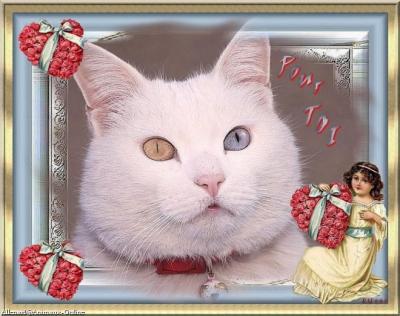 Image h�berg�e par Casimages.com : votre h�bergeur d images simple et gratuit