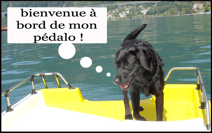 Image h�berg�e par Casimages.com : votre h�bergeur d images simple et gratuit