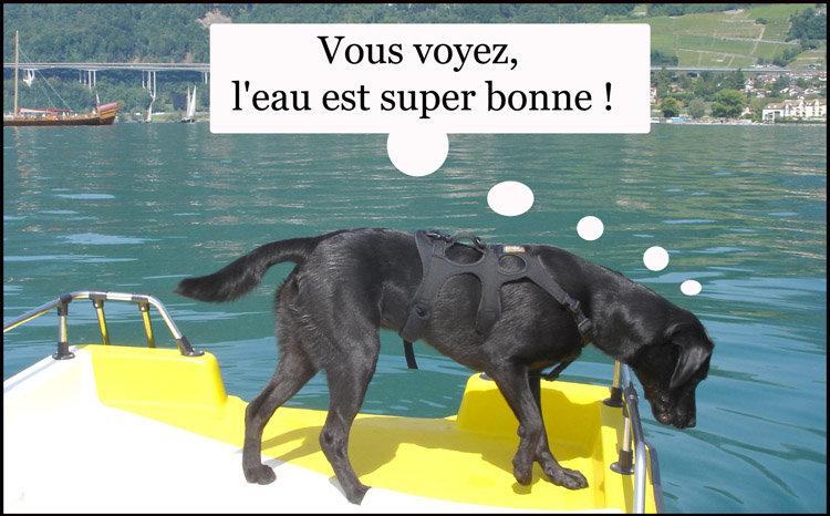 Image h�berg�e par Casimages.com : votre h�bergeur d images simple et gratuit