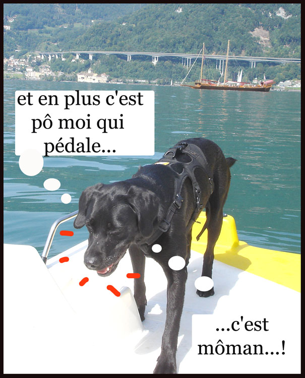 Image h�berg�e par Casimages.com : votre h�bergeur d images simple et gratuit
