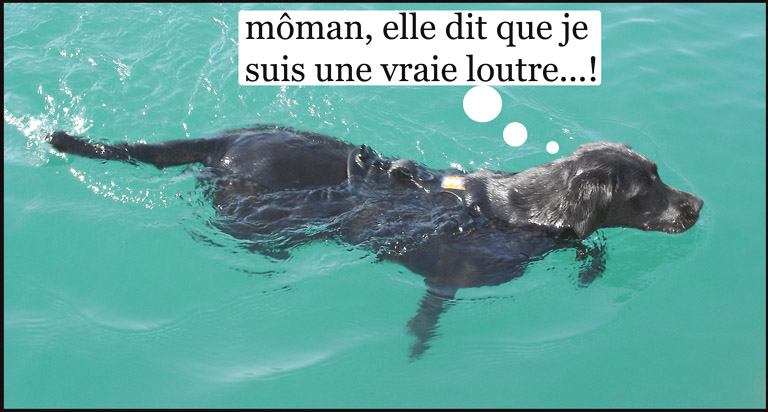 Image h�berg�e par Casimages.com : votre h�bergeur d images simple et gratuit