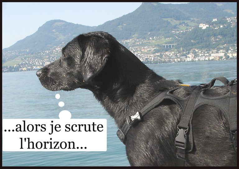 Image h�berg�e par Casimages.com : votre h�bergeur d images simple et gratuit
