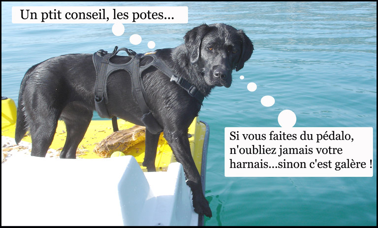 Image h�berg�e par Casimages.com : votre h�bergeur d images simple et gratuit